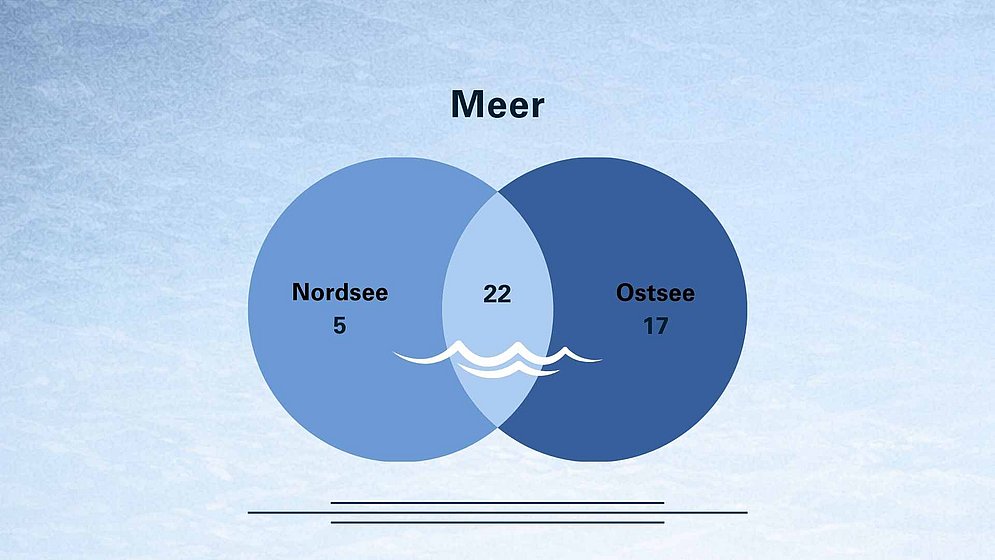 DLRG Statistik Ertrinken 2025 - Meer